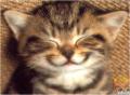 Avatar de MOROCHO BONITO