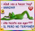 Avatar de pablojorge