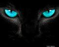 Avatar de jo_pl