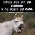 Avatar de piton10