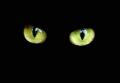 Avatar gato def