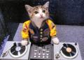 Avatar dj_22