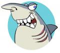 Avatar Sharkie
