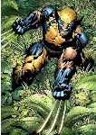 Avatar Wolverine28