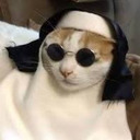 Avatar VampiroGatuno