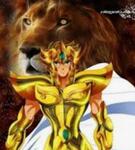 Avatar Aioria de Leo