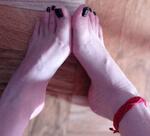 Avatar Fdicarlo1657@gmail.com