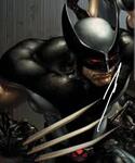 Avatar Wolverine 23