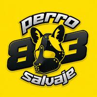 Avatar Perro salvaje83