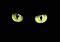 Avatar gato def