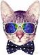 Avatar gaterogeek