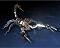 Avatar escorpion1974