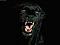 Avatar vmetal