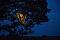 Avatar 1995ronin