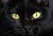Avatar de Salem2