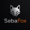 Avatar Seba Fox