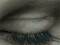 Avatar de jalt