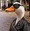 Avatar DonCuack
