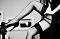 Avatar de punter1962