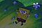 Avatar Forastero-
