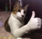 Avatar de Ignotus