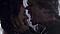 Avatar de Tyrion Lanister