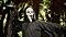 Avatar de Eddy Forro