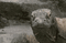 Avatar de VARANUS